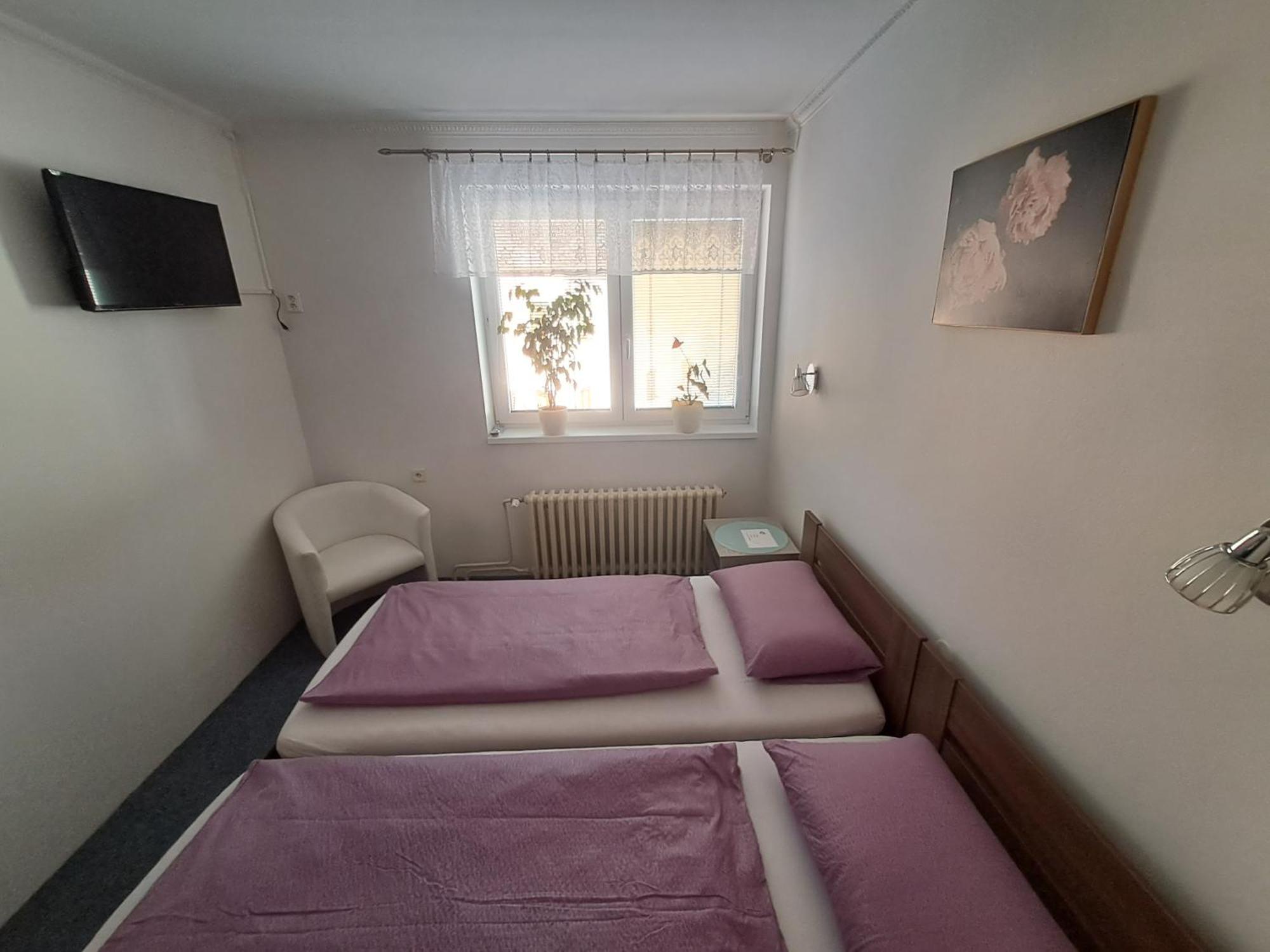 Pension Dana Karaskova Lägenhet Kutná Hora Exteriör bild